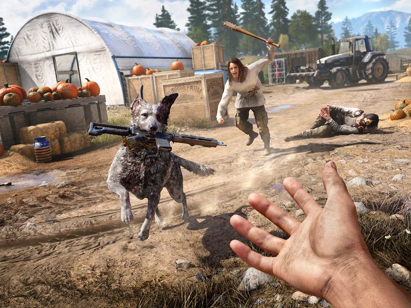 Far Cry 5 — скриншот 4