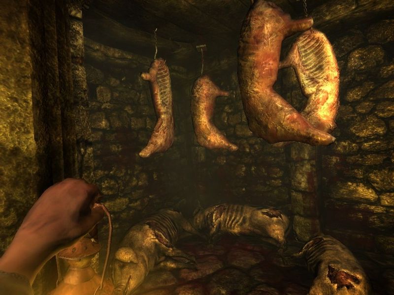 Amnesia The Dark Descent — скриншот 2