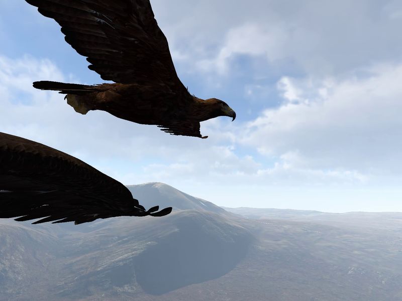 Aquila Bird Flight Simulator — скриншот 5