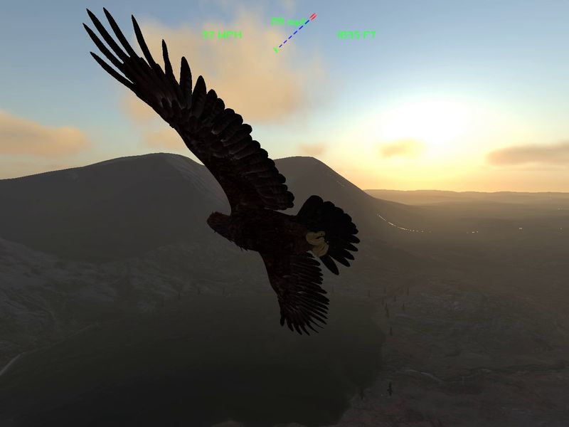 Aquila Bird Flight Simulator — скриншот 3