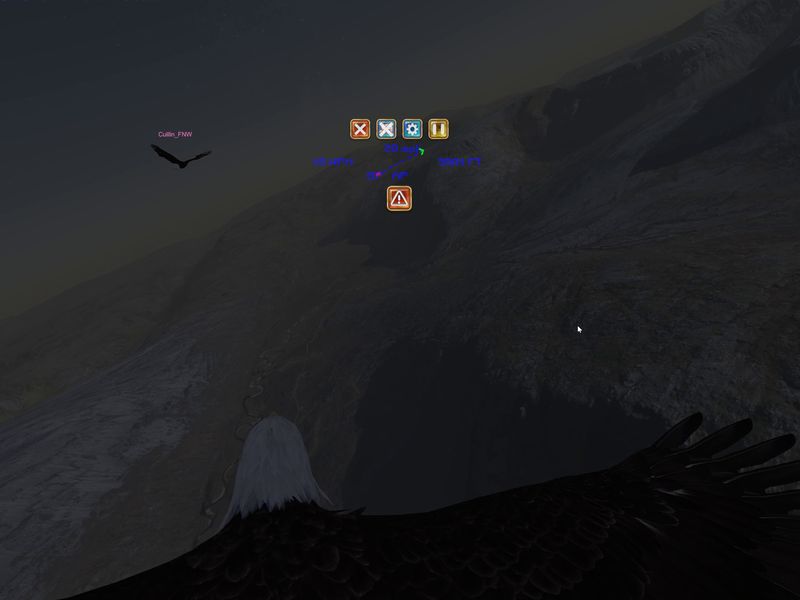 Aquila Bird Flight Simulator — скриншот 4