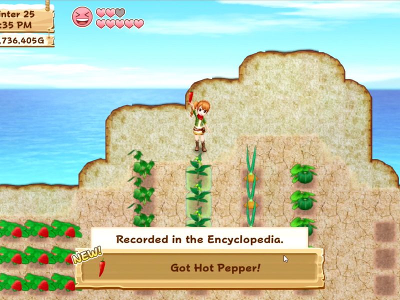 Harvest Moon Light of Hope — скриншот 2