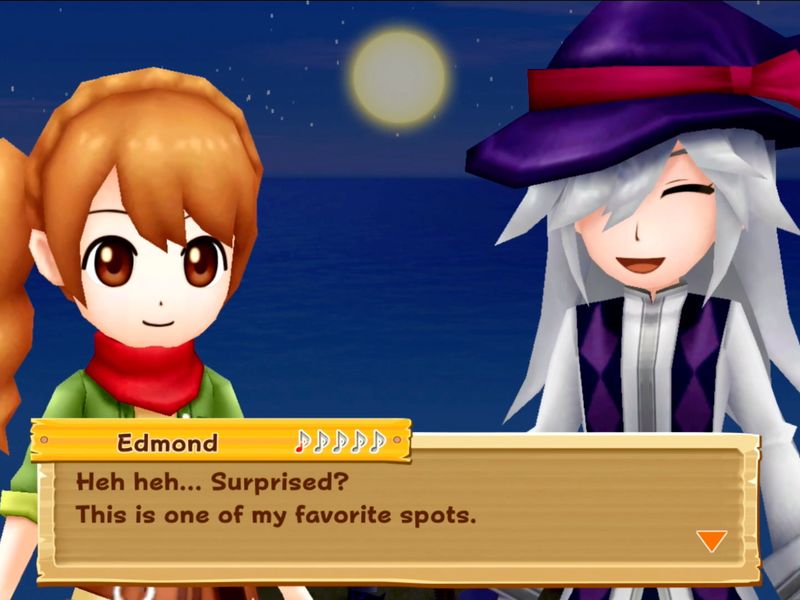 Harvest Moon Light of Hope — скриншот 3