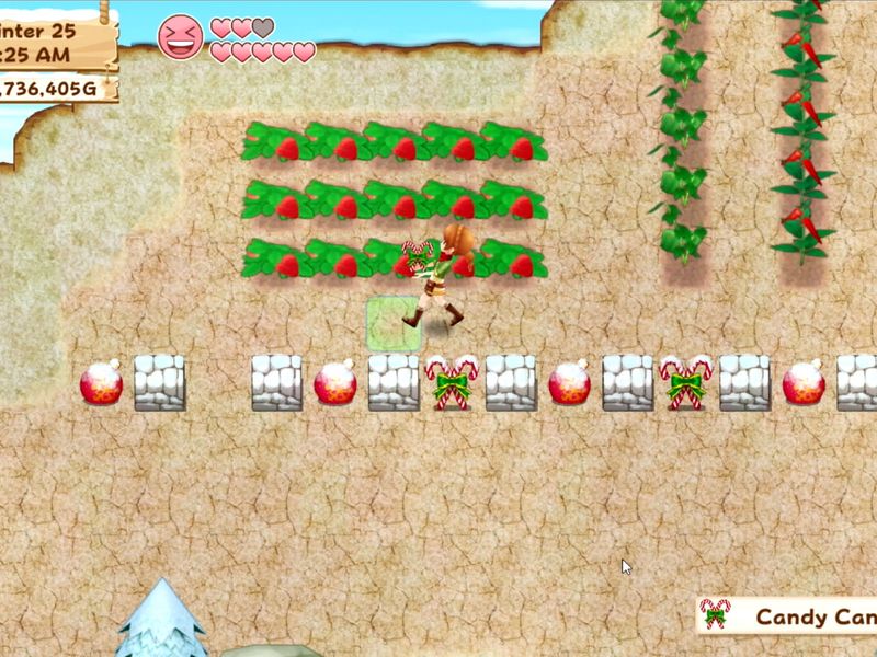 Harvest Moon Light of Hope — скриншот 5