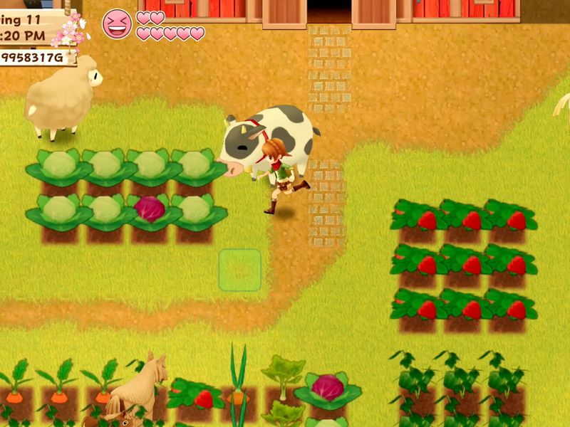 Harvest Moon Light of Hope — скриншот 1