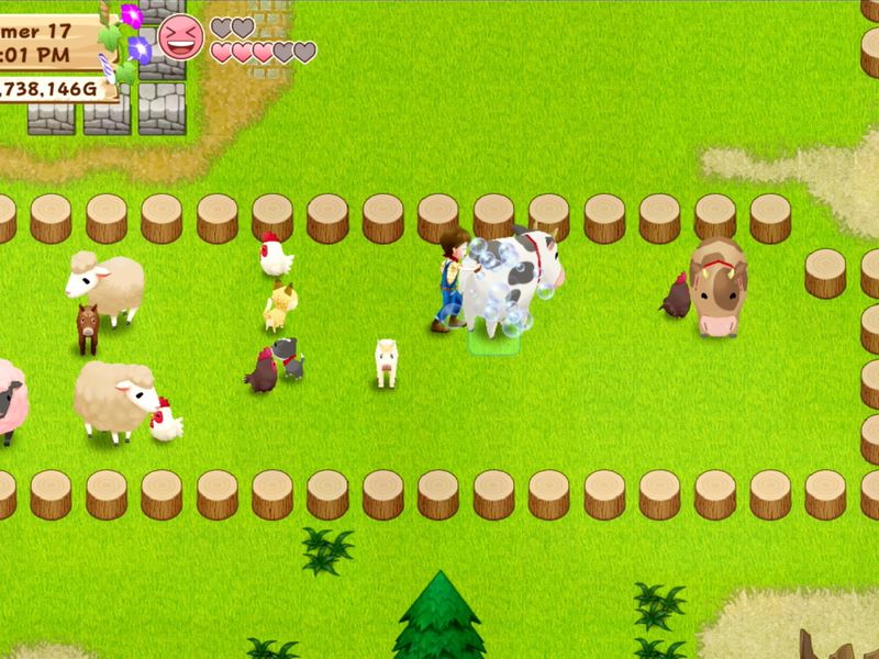 Harvest Moon Light of Hope — скриншот 4