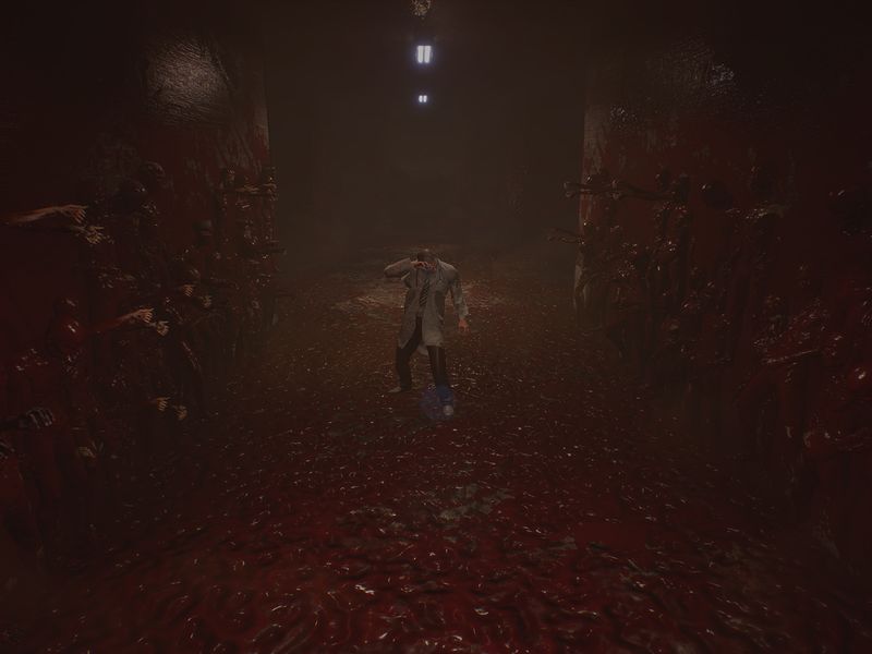 Roots of Insanity — скриншот 1
