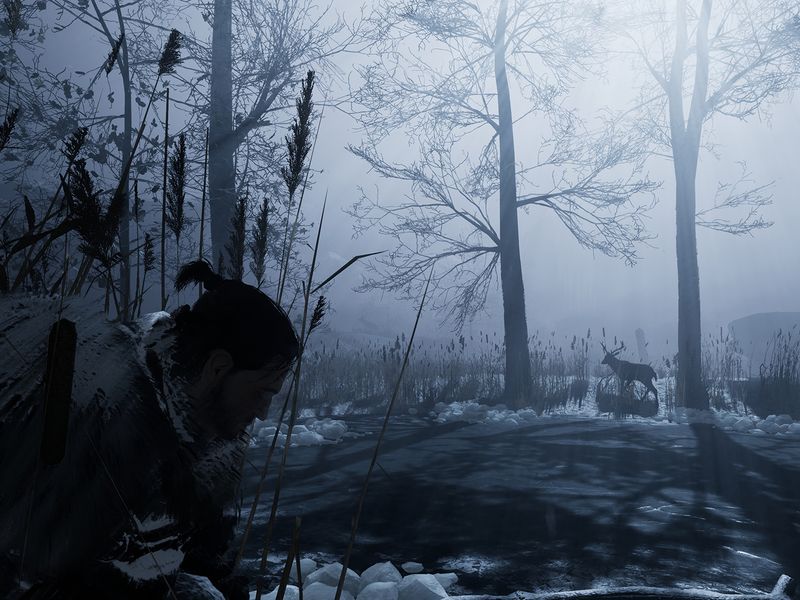 Fade to Silence — скриншот 4