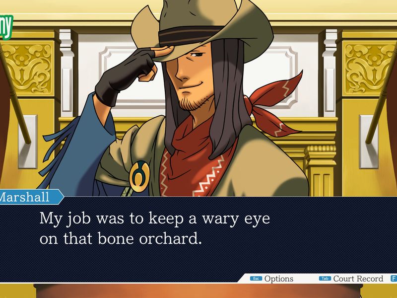 Phoenix Wright Ace Attorney Trilogy — скриншот 2