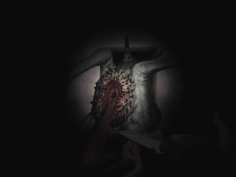 SCP 5K — скриншот 3