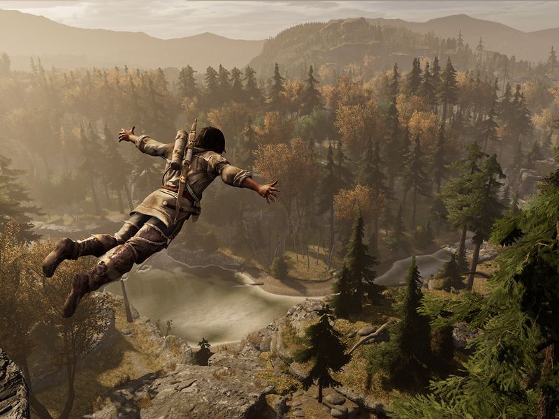 Assassin's Creed III — скриншот 3