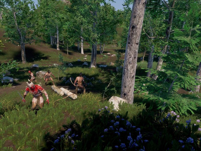 Trials of Wilderness — скриншот 1