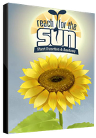 Reach for the Sun