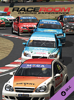 RaceRoom DTM Experience 2014