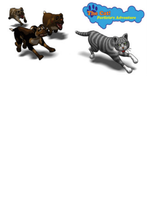 The Cat! Porfirio's Adventure