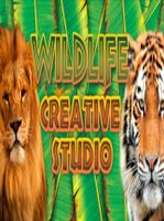 Wildlife Creative Studio