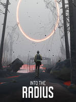 Into the Radius VR