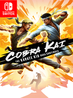 Cobra Kai The Karate Kid Saga Continues