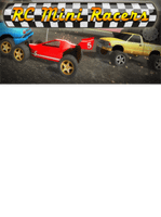 RC Mini Racers