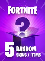 Random FORTNITE SKIN ITEM 5