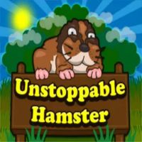 Unstoppable Hamster