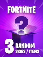 Random FORTNITE SKIN ITEM 3