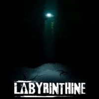 Labyrinthine