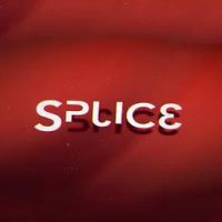 Splice