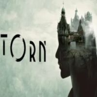 Torn