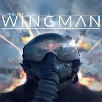 Project Wingman