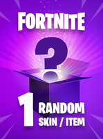 Random FORTNITE SKIN ITEM