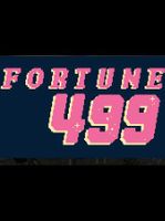 Fortune 499