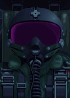 F 117A Nighthawk Stealth Fighter 2.0