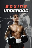 Boxing Underdog VR