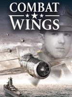 Combat Wings