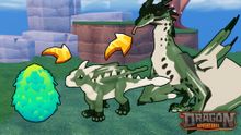 NEW SZN 46 🚀 Dragon Adventures 🐉 Fantasy Pets ✨