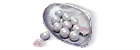 600 Echo Beads (UID)