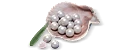900 Echo Beads (UID)
