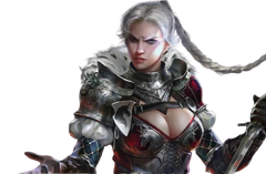 Набор новичка (Plarium ID)