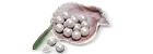 900 Echo Beads