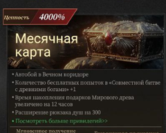 Месячный пропуск (E-mail)
