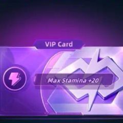 Пожизненная карта VIP (Google)
