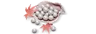 3000 Echo Beads	