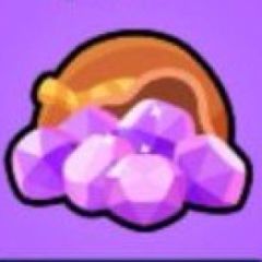 Medium Pack (Login)