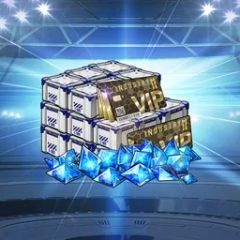 Manufacturer Backup