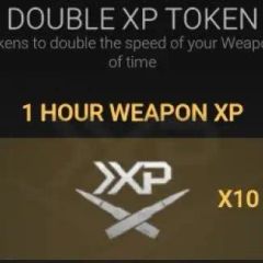 Double XP Token (1 HOUR WEAPON XP) (Google)