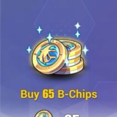 65 B-Chips (HoYoverse→Email)