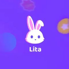 1000 Lita Coins