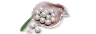 900 Echo Beads