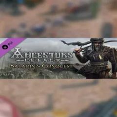 Saladin's Conquest